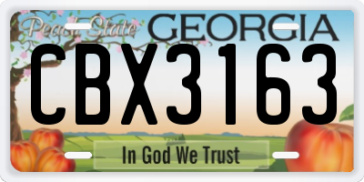 GA license plate CBX3163