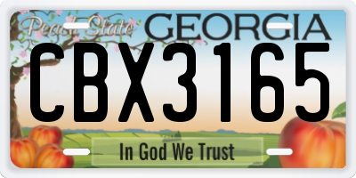 GA license plate CBX3165