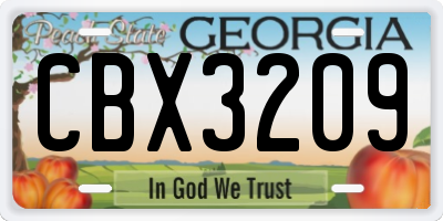 GA license plate CBX3209