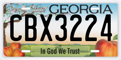 GA license plate CBX3224