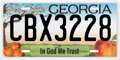 GA license plate CBX3228