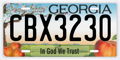 GA license plate CBX3230