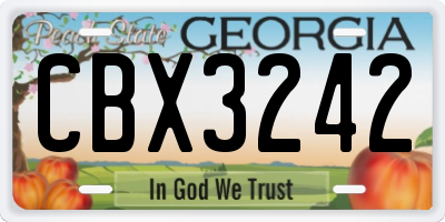 GA license plate CBX3242