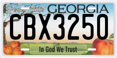 GA license plate CBX3250