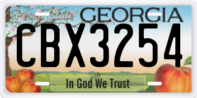 GA license plate CBX3254