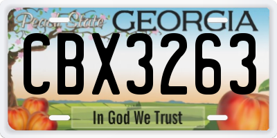 GA license plate CBX3263