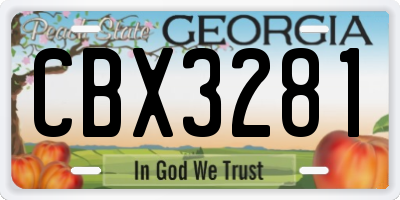 GA license plate CBX3281
