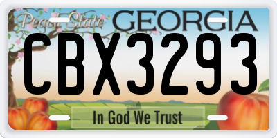 GA license plate CBX3293