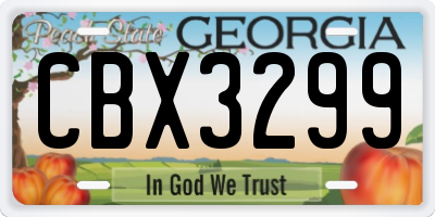 GA license plate CBX3299