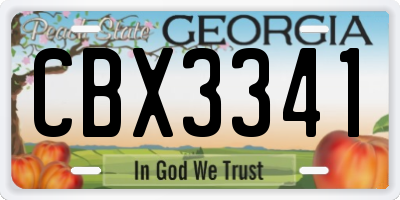 GA license plate CBX3341