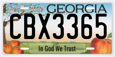 GA license plate CBX3365