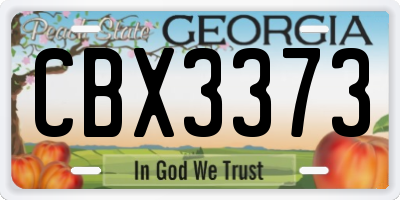 GA license plate CBX3373