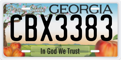 GA license plate CBX3383