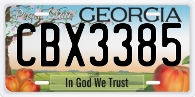 GA license plate CBX3385