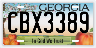 GA license plate CBX3389
