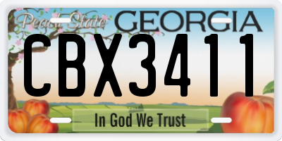 GA license plate CBX3411