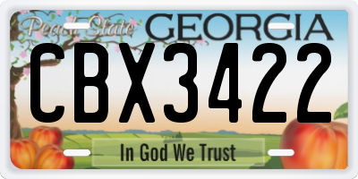 GA license plate CBX3422
