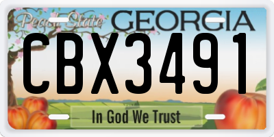 GA license plate CBX3491