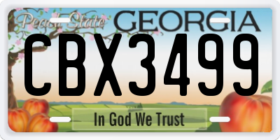GA license plate CBX3499