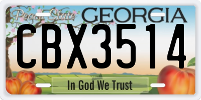 GA license plate CBX3514