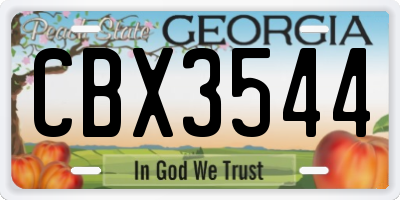 GA license plate CBX3544