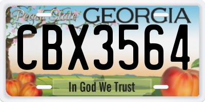 GA license plate CBX3564