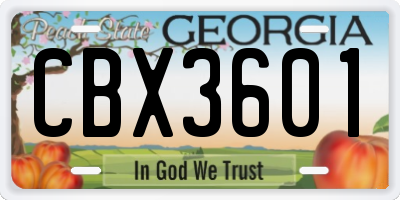 GA license plate CBX3601