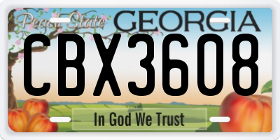 GA license plate CBX3608