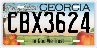 GA license plate CBX3624