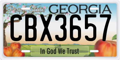 GA license plate CBX3657