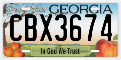 GA license plate CBX3674