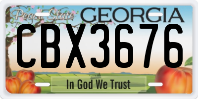GA license plate CBX3676