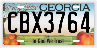 GA license plate CBX3764