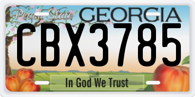 GA license plate CBX3785