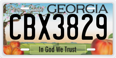 GA license plate CBX3829