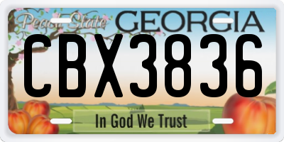 GA license plate CBX3836