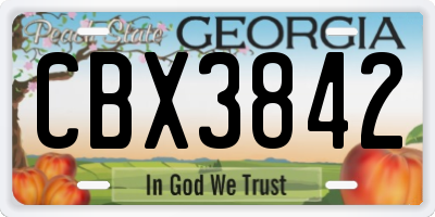 GA license plate CBX3842