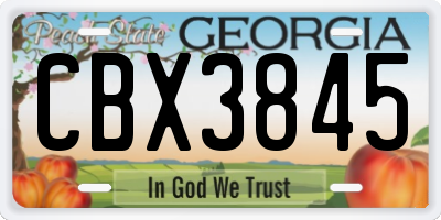 GA license plate CBX3845