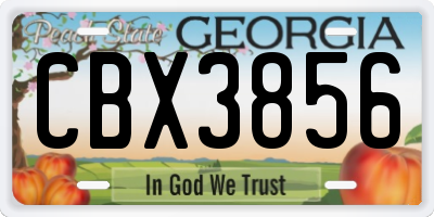 GA license plate CBX3856
