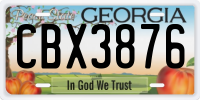 GA license plate CBX3876