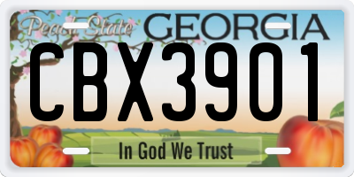 GA license plate CBX3901