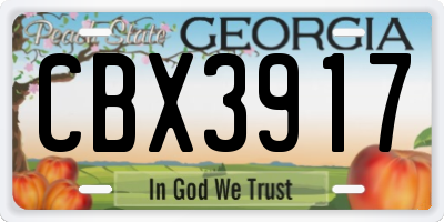 GA license plate CBX3917