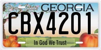 GA license plate CBX4201