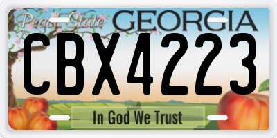 GA license plate CBX4223