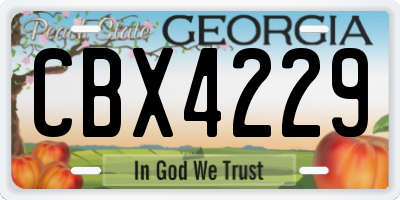 GA license plate CBX4229