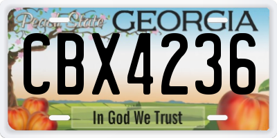 GA license plate CBX4236