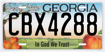 GA license plate CBX4288