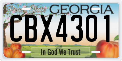 GA license plate CBX4301