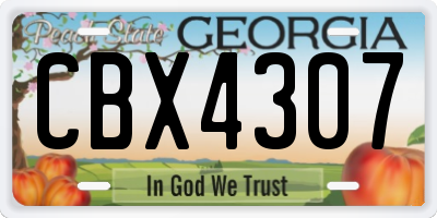 GA license plate CBX4307
