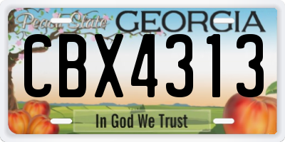 GA license plate CBX4313